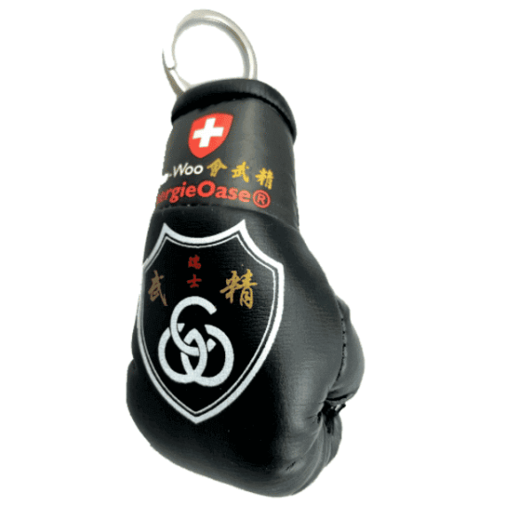 Mini Boxhandschuh Chin Woo Wappen