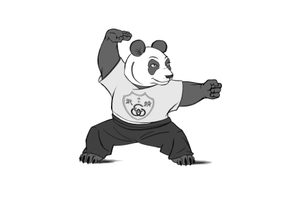 Kinder Kung Fu speziell für die kleinen ab ca. 7 Jahren is das Kids Kung Fu geeignet der Kung Fu Panda macht eine Kung Fu Stellung